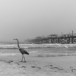 Pier and Beach Canvas Print in Florida