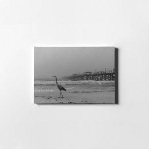 Pier and Beach Photo Leather Print in Florida