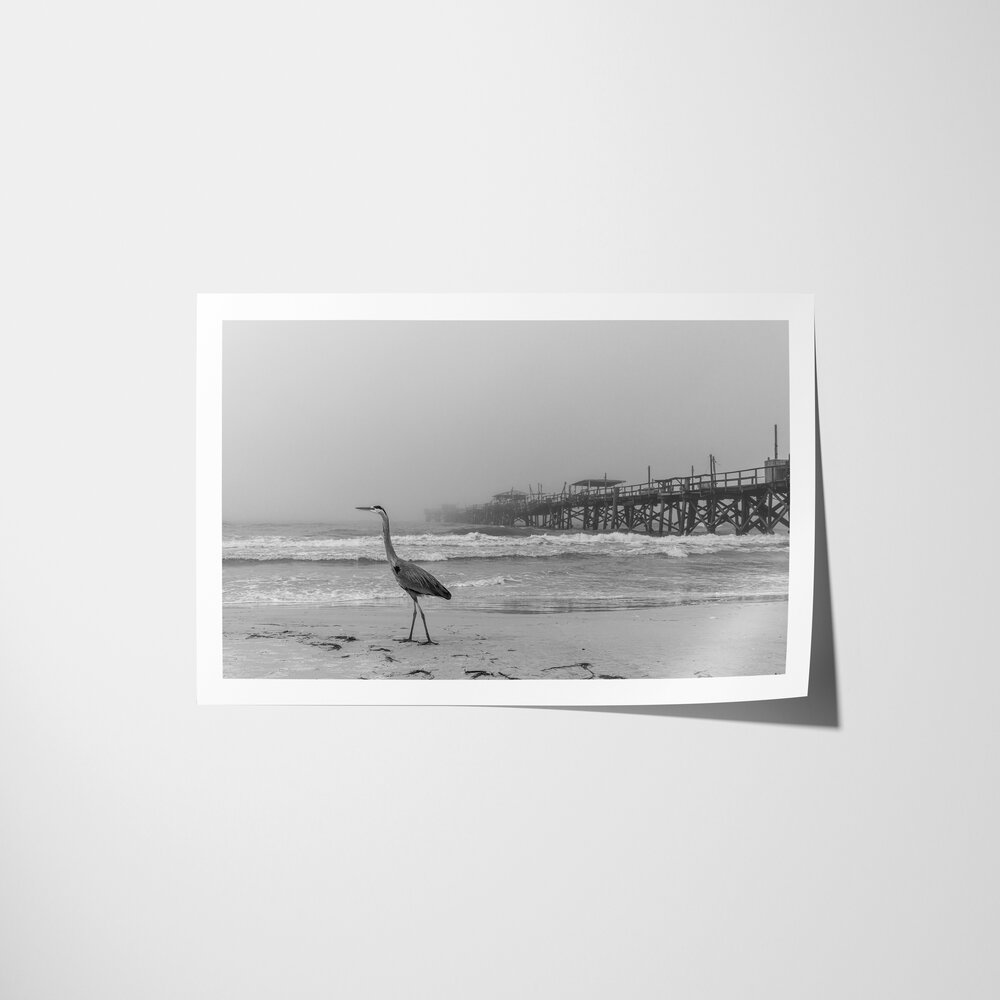 Silent-Z-Original_Paper-Lustre_0003
