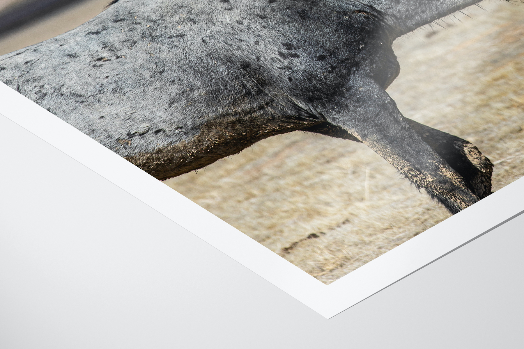 Original_0026_paper_corner_web