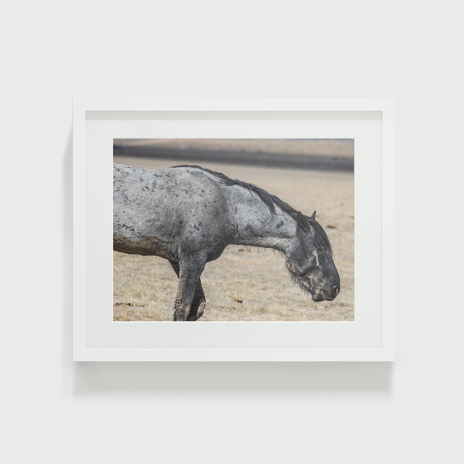 Original_0026_paper_framed_web