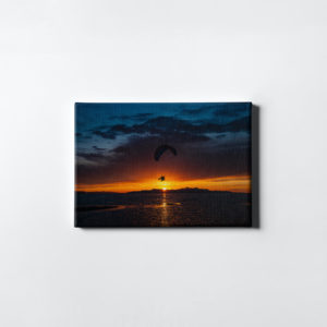 Silent Z Print 0027 - Picasso Canvas